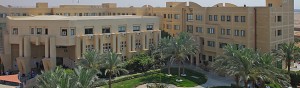 About us | Misr International University