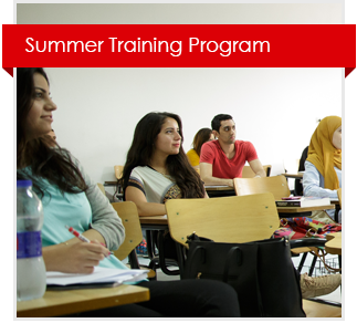 Summer Traing Program